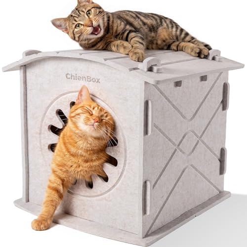 CASA de Fieltro para Gatos - Refugio CÁLIDO y Resistente